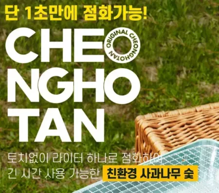 친환경 1급 사과나무 캠핑 바베큐 홍탄숯 1box 100개입
